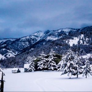 Meet your Posher, Jake